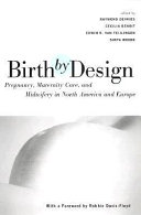 Birth by design : pregnancy, maternity care, and midwifery in North America and Europe /