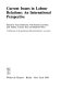 Current issues in labour relations : an international perspective /