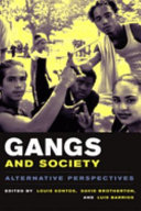 Gangs and society : alternative perspectives /