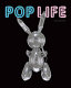 Pop life : art in a material world /