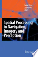 Spatial processing in navigation, imagery, and perception /