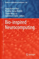 Bio-inspired neurocomputing /