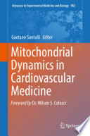 Mitochondrial dynamics in cardiovascular medicine /