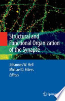Structural and functional organization of the synapse /