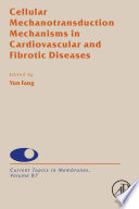 Cellular mechanotransduction mechanisms in cardiovascular and fibrotic diseases /