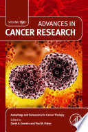 Autophagy and senescence in cancer therapy /