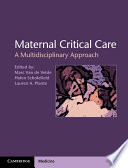 Maternal critical care : a multidisciplinary approach /
