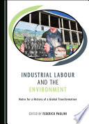 Industrial labour and the environment : notes for a history of a global transformation /