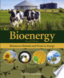 Bioenergy : biomass to biofuels and waste to energy /