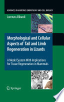 Morphological and cellular aspects of tail and limb regeneration in lizards : a model system with implications for tissue regeneration in mammals /