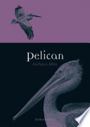 Pelican /