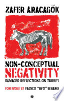 Non-conceptual negativity : damaged reflections on Turkey /