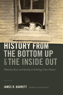 History from the bottom up and the inside out : ethnicity, race, and identity in working-class history /