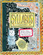 Syllabus : notes from an accidental professor /