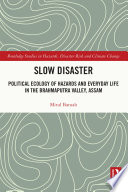 Slow disaster : political ecology of hazards and everyday life in the Brahmaputra Valley, Assam /