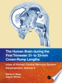 The human brain during the first trimester 31- to 33-mm crown-rump lengths /