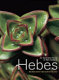 An illustrated guide to New Zealand hebes /