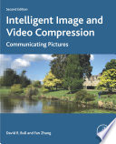 Intelligent image and video compression : communicating pictures /