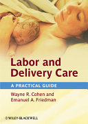 Labor and delivery care : a practical guide /