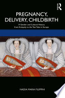 Pregnancy, delivery, childbirth : a gender and cultural history from antiquity to the test tube in Europe /