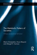 The metabolic pattern of societies : where economists fall short /