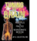 Tuning the brain : principles and practice of neurosomatic medicine /