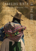 Changing birth in the Andes : culture, policy and safe motherhood in Peru /