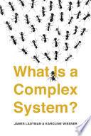 What is a complex system? /