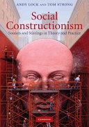 Social constructionism : sources and stirrings in theory and practice /