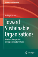Toward sustainable organisations : a holistic perspective on implementation efforts /