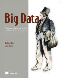Big data : principles and best practices of scalable real-time data systems /