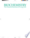 Biochemistry : the chemical reactions of living cells /