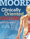 Moore clinically oriented anatomy /