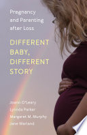 Different baby, different story : pregnancy and parenting after loss /