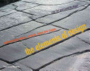 The elements of design : rediscovering colors, textures, forms, and shapes /