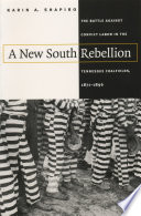 A new South rebellion : the battle against convict labor in the Tennessee coalfields, 1871-1896 /