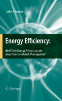 Energy efficiency : real time energy infrastructure investment and risk management /