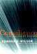 Consilience : the unity of knowledge /