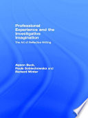 Professional experience & the investigative imagination : the art of reflective writing /